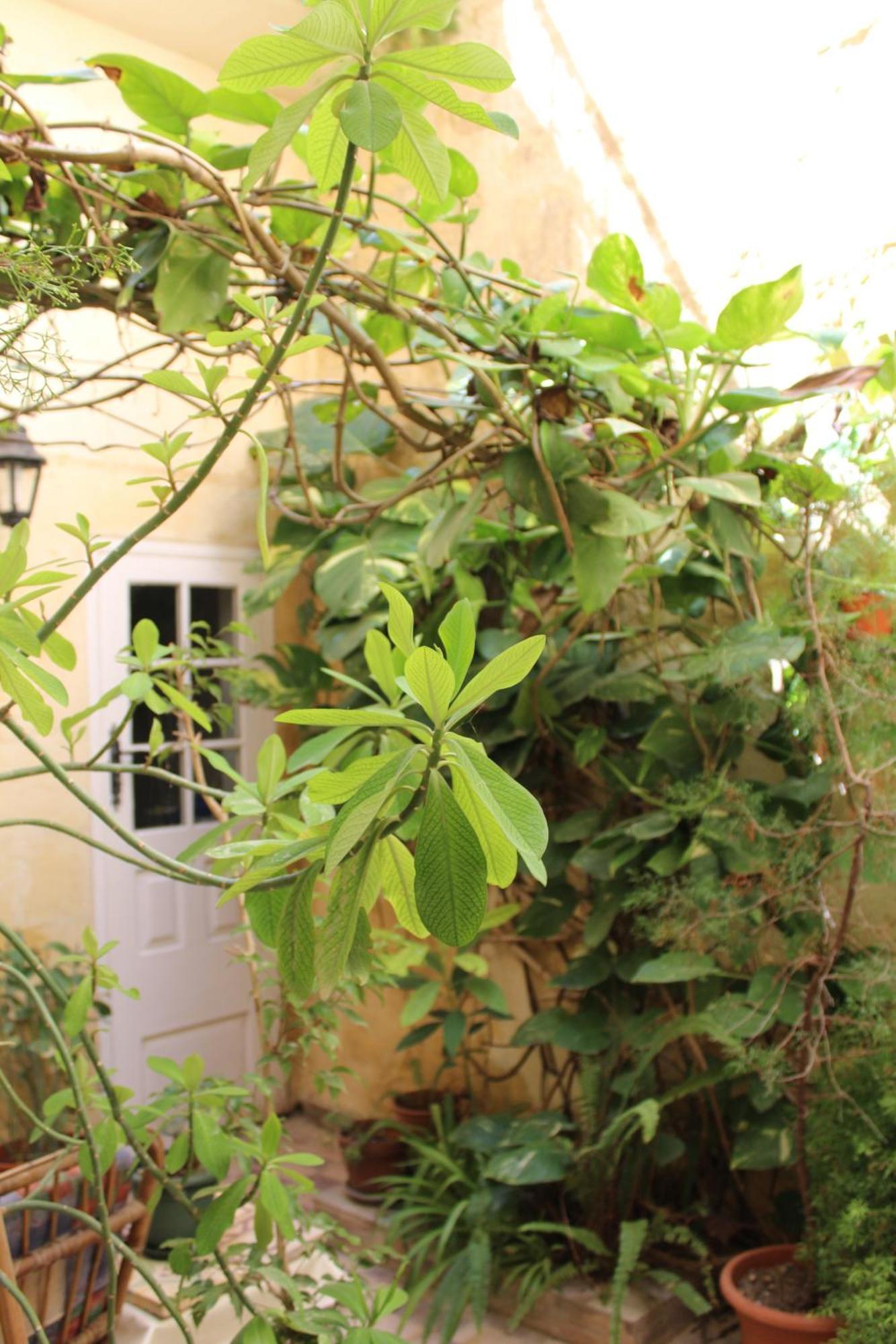 Maria Townhouse Heart Of Victoria B&B Luaran gambar