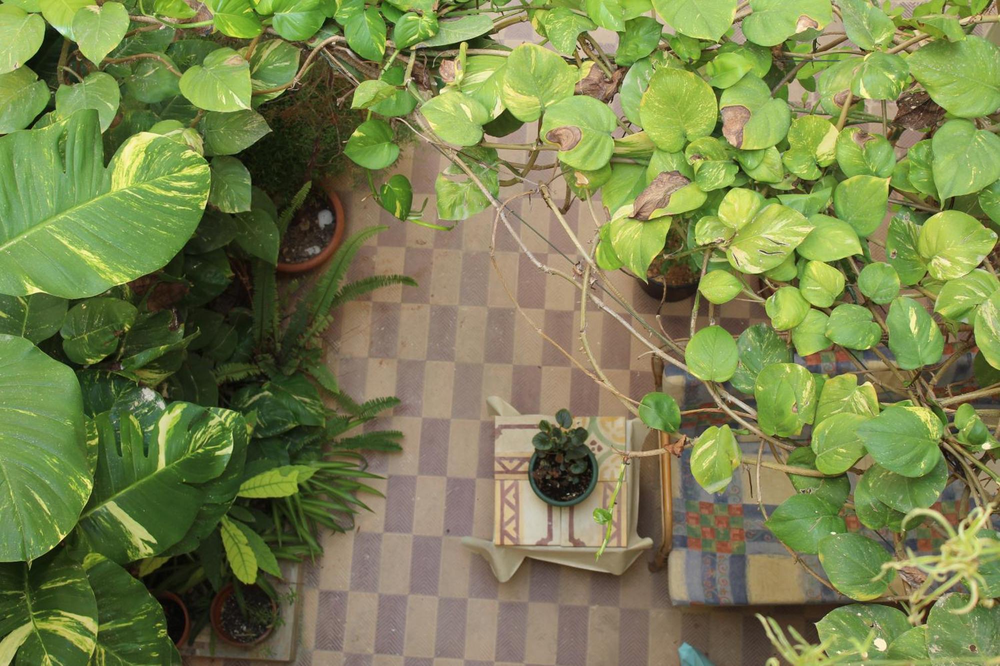 Maria Townhouse Heart Of Victoria B&B Luaran gambar